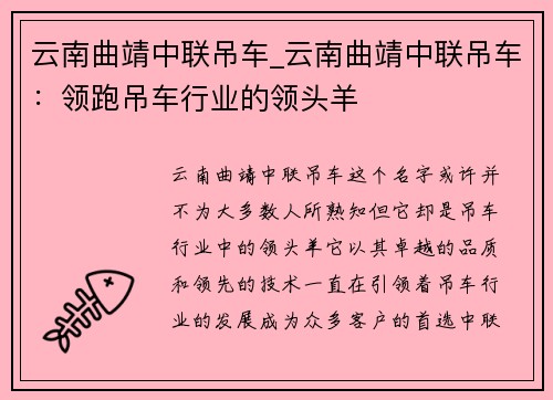 云南曲靖中联吊车_云南曲靖中联吊车：领跑吊车行业的领头羊