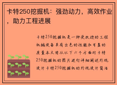 卡特250挖掘机：强劲动力，高效作业，助力工程进展