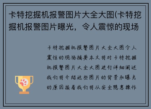 卡特挖掘机报警图片大全大图(卡特挖掘机报警图片曝光，令人震惊的现场)